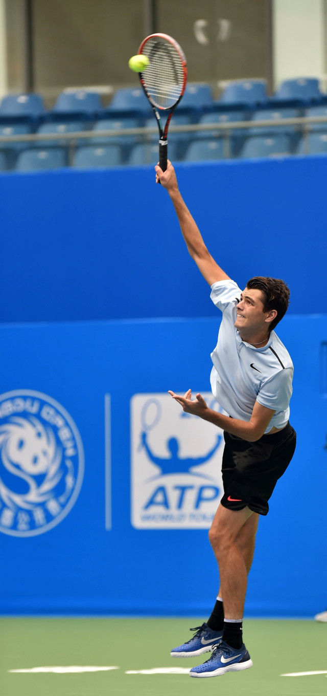 这些都是本 这些都是本